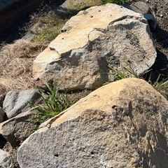 何個でも庭石 無料の画像