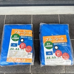 早い者勝ち！ハトメ付きブルーシート1枚