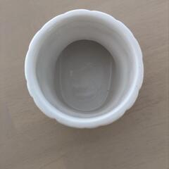 サンタのくつ　容器の画像
