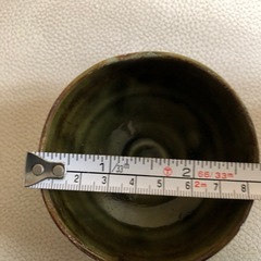 テーブルサイズの観葉植物🪴かねの成る木の画像