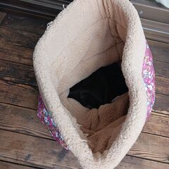 猫ベッド（モンプチ景品？）の画像