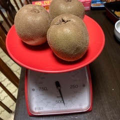 アップルキウイ　自家製農薬不使用の画像