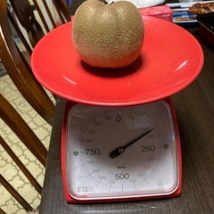 アップルキウイ　自家製農薬不使用の画像