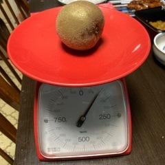 アップルキウイ　自家製農薬不使用の画像