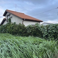 アンテナあげます。