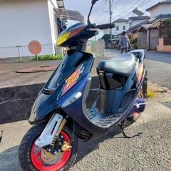 決まりました!(^^)!　スズキセピアZZ   実働整備車　　合...