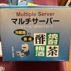 マルチサーバーの画像