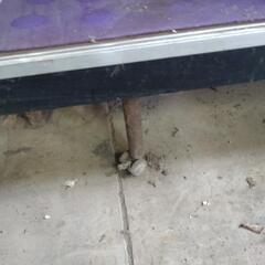 お話し中　ガラスケース⑥の画像