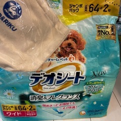 わんちゃん用シートとお散歩バック