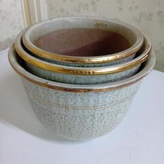 海老根鉢の画像