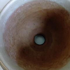 海老根鉢の画像