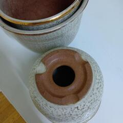 海老根鉢の画像