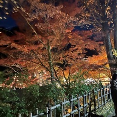 気の合う友達募集☆