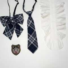 卒業式, 入学式 用  女子服 　フォーマルウェアの画像