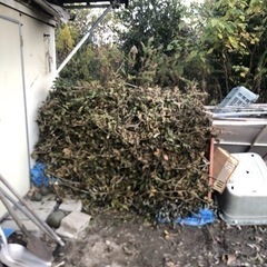 薪、キャンプファイヤー、焚き火