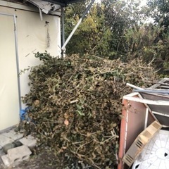 薪、キャンプファイヤー、焚き火の画像