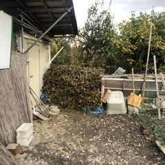 薪、キャンプファイヤー、焚き火の画像