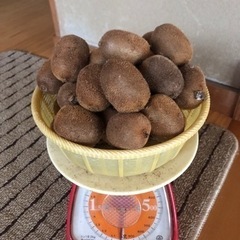 ラストです🥝今回は小さいです🥝キウイフルーツ　１キロの画像
