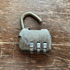 オキッパ　OKIPPA  宅配バッグの画像