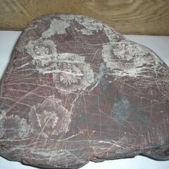 岐阜県　根尾谷産　菊花石　鑑賞石　研き前原石　重量　約　３，２９ｋｇの画像