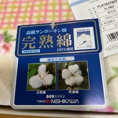 東京西川綿毛布の画像