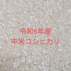 コシヒカリ　　中米
