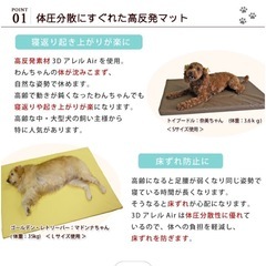 床ずれ予防ペットケアマットの画像
