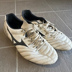 サッカースパイク