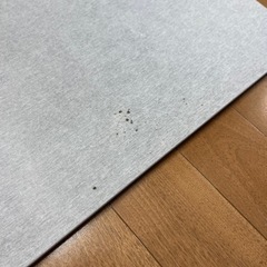現在お取引中☆珪藻土バスマット　ミニ　ニトリの画像