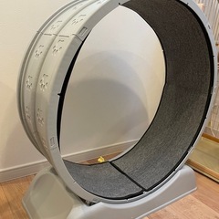 キャットホイールの画像