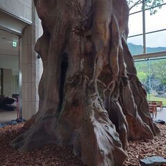 日本百名山、温泉百名山制覇しませんか？ - スポーツ