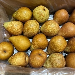 ゼネラルレクラーク決まりましたの画像