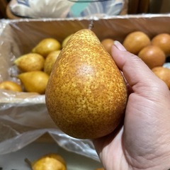 ゼネラルレクラーク決まりましたの画像