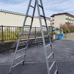 脚立　長谷川工業　高さ2.62