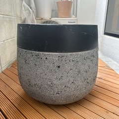 植物⚪︎園芸⚪︎花⚪︎鉢