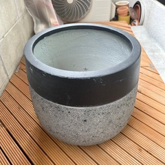 植物⚪︎園芸⚪︎花⚪︎鉢の画像