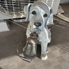 犬のライト)