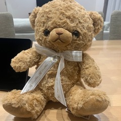 未使用　テディベアー
