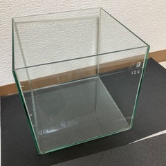 25センチキューブ水槽