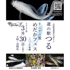 出店者様募集中