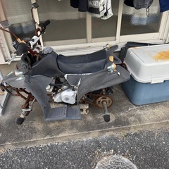 バギー不動の画像