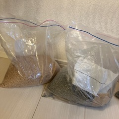 決まりました　コリドラスの砂と大磯砂