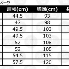 ウェットスーツ　ジェットパイロットの画像