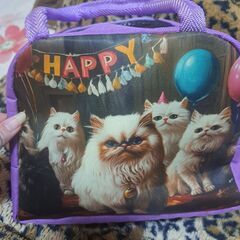 猫ランチバック♪︎