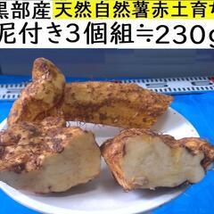 すぐにお渡しできます ♪黒部産・超粘り！赤土粘土の典型的天然自然...