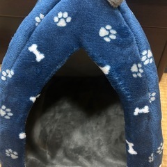 ★美品　猫 小型犬用 ペットハウス