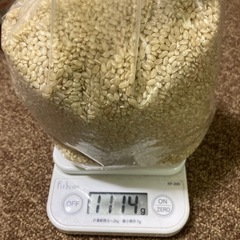 
古米  玄米  約1.1kg