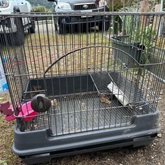 うさぎ小屋の画像