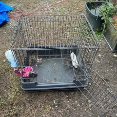 うさぎ小屋