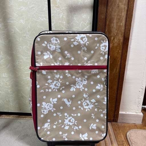 キャリーバック